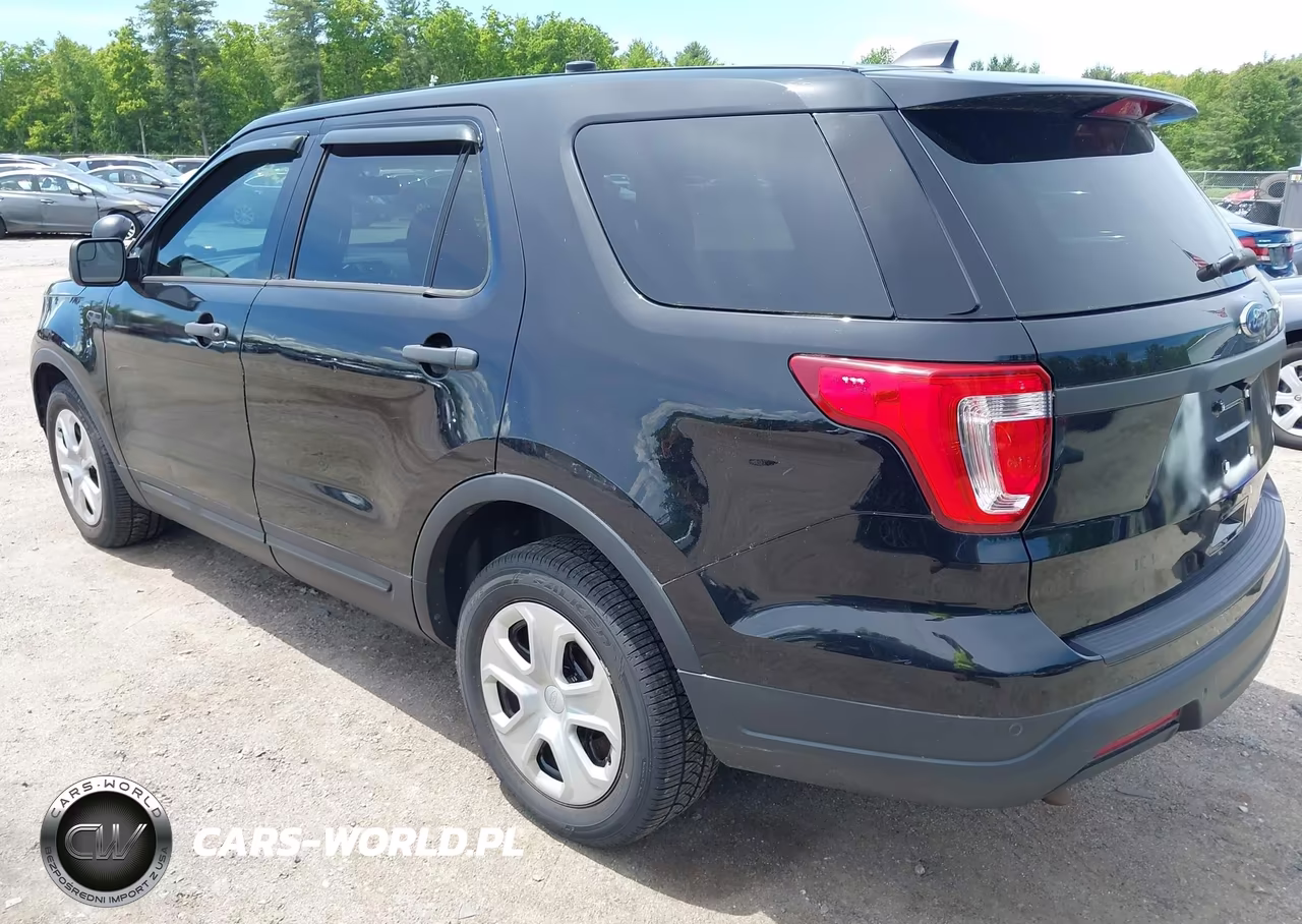 2019 Ford Police Interceptor Utility VIN:1FM5K8AR6KGA31898 - 3