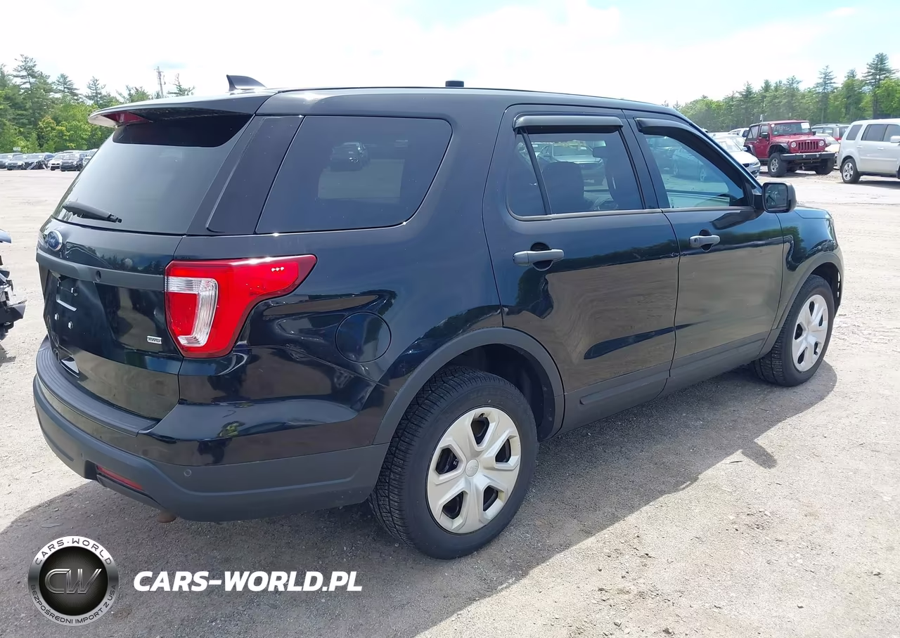 2019 Ford Police Interceptor Utility VIN:1FM5K8AR6KGA31898 - 4