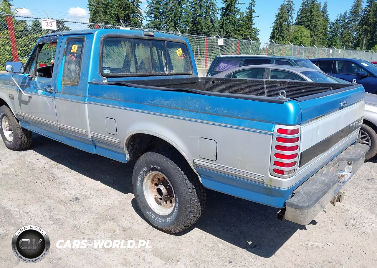 1993 Ford F150 VIN:1FTEX14HXPKB09247 - 3