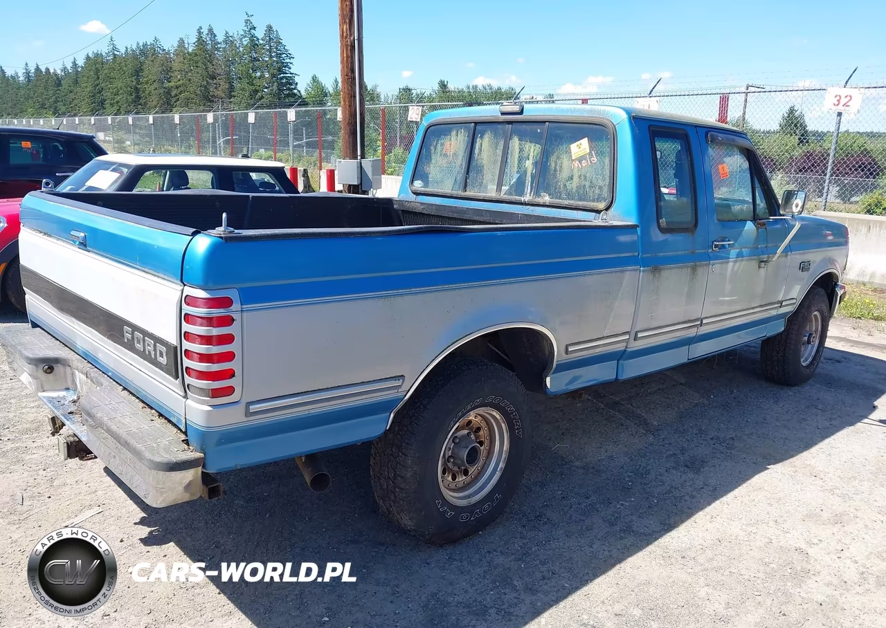 1993 Ford F150 VIN:1FTEX14HXPKB09247 - 4