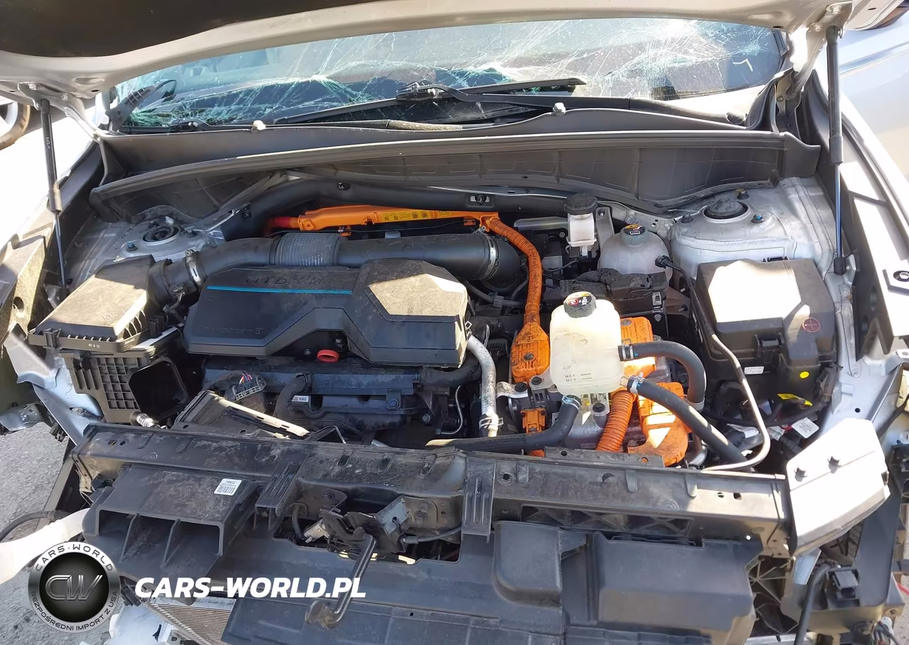 2024 Kia Sorento Plug-In Hybrid Sx Prestige VIN:KNDRMDLH0R5247006 - 10