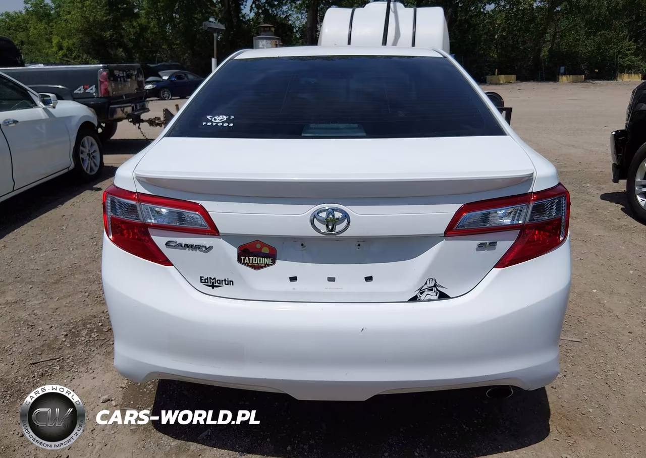 2013 Toyota Camry Se VIN:4T1BF1FK4DU668917 - 17