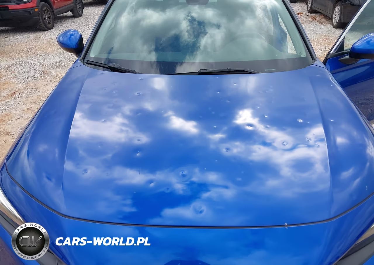 2024 Honda Civic Ex VIN:2HGFE1F79RH335385 - 6