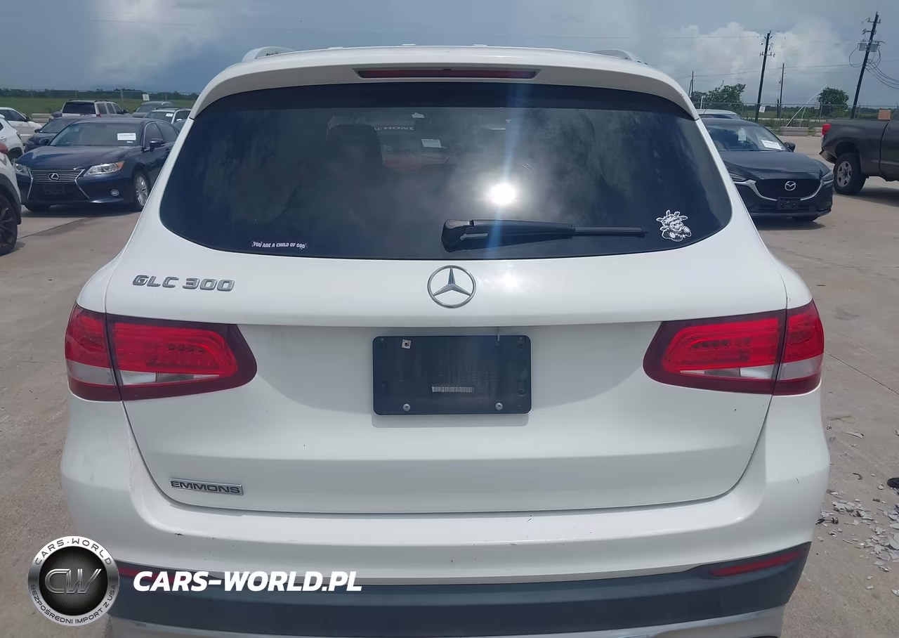 2019 Mercedes-Benz Glc 300 VIN:WDC0G4JBXKV141967 - 16