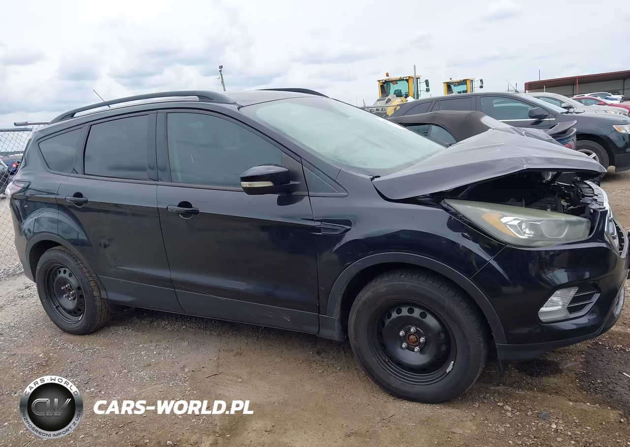 2017 Ford Escape Titanium VIN:1FMCU0JD0HUC95135 - 13