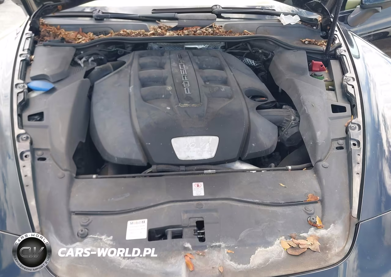2013 Porsche Cayenne Diesel VIN:WP1AF2A24DLA40423 - 10