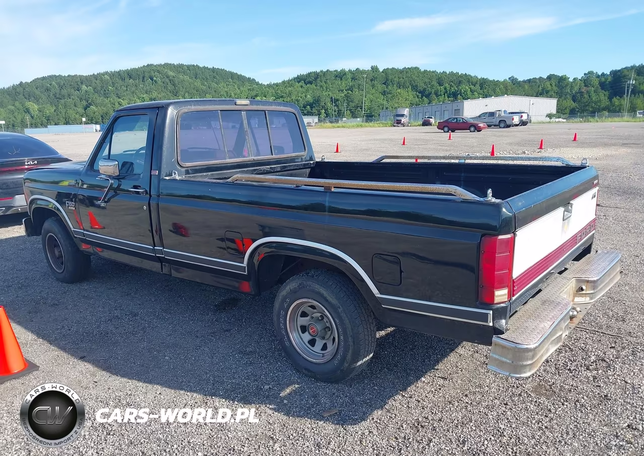 1986 Ford F150 VIN:1FTDF15N4GNA95847 - 3