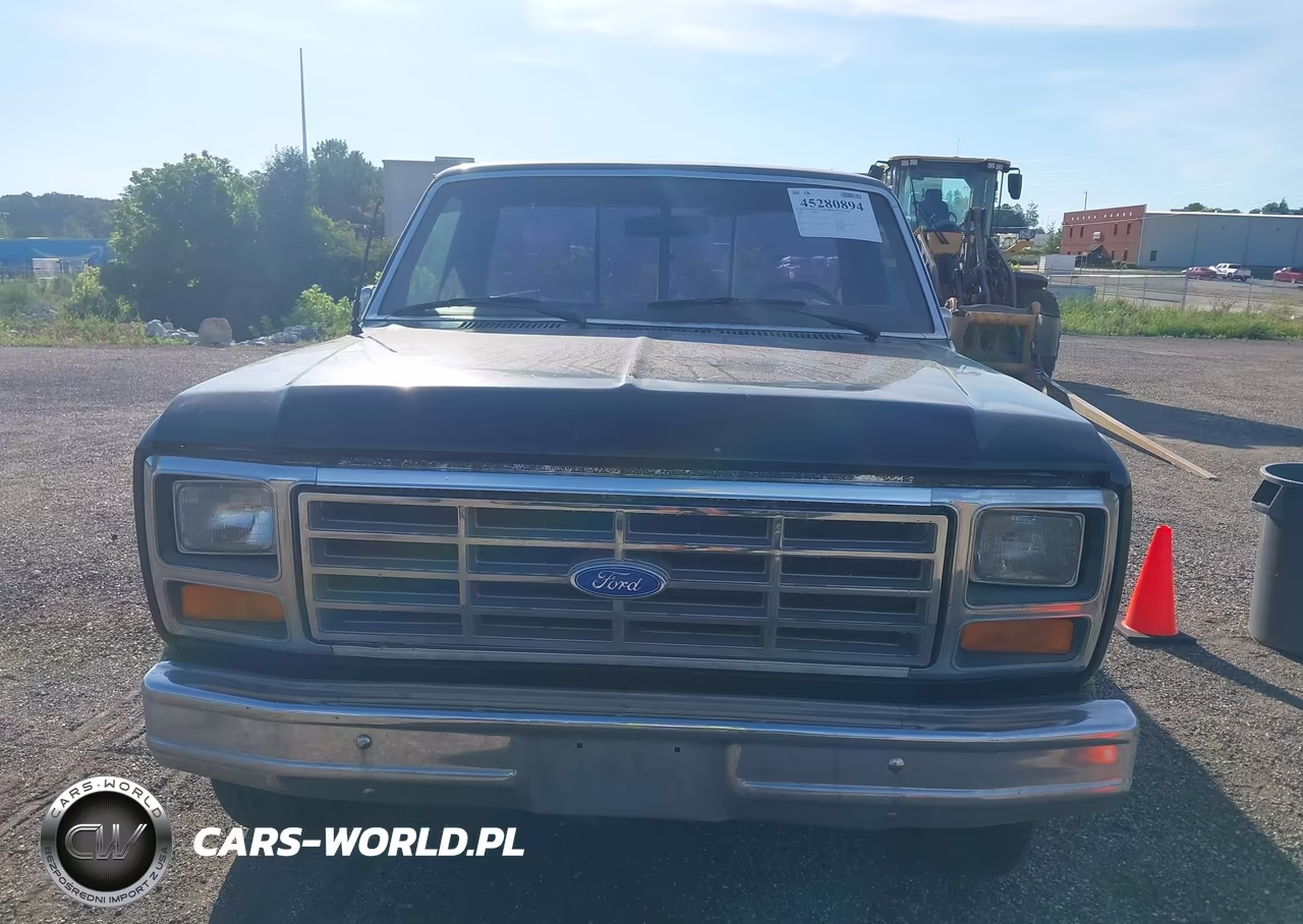1986 Ford F150 VIN:1FTDF15N4GNA95847 - 6