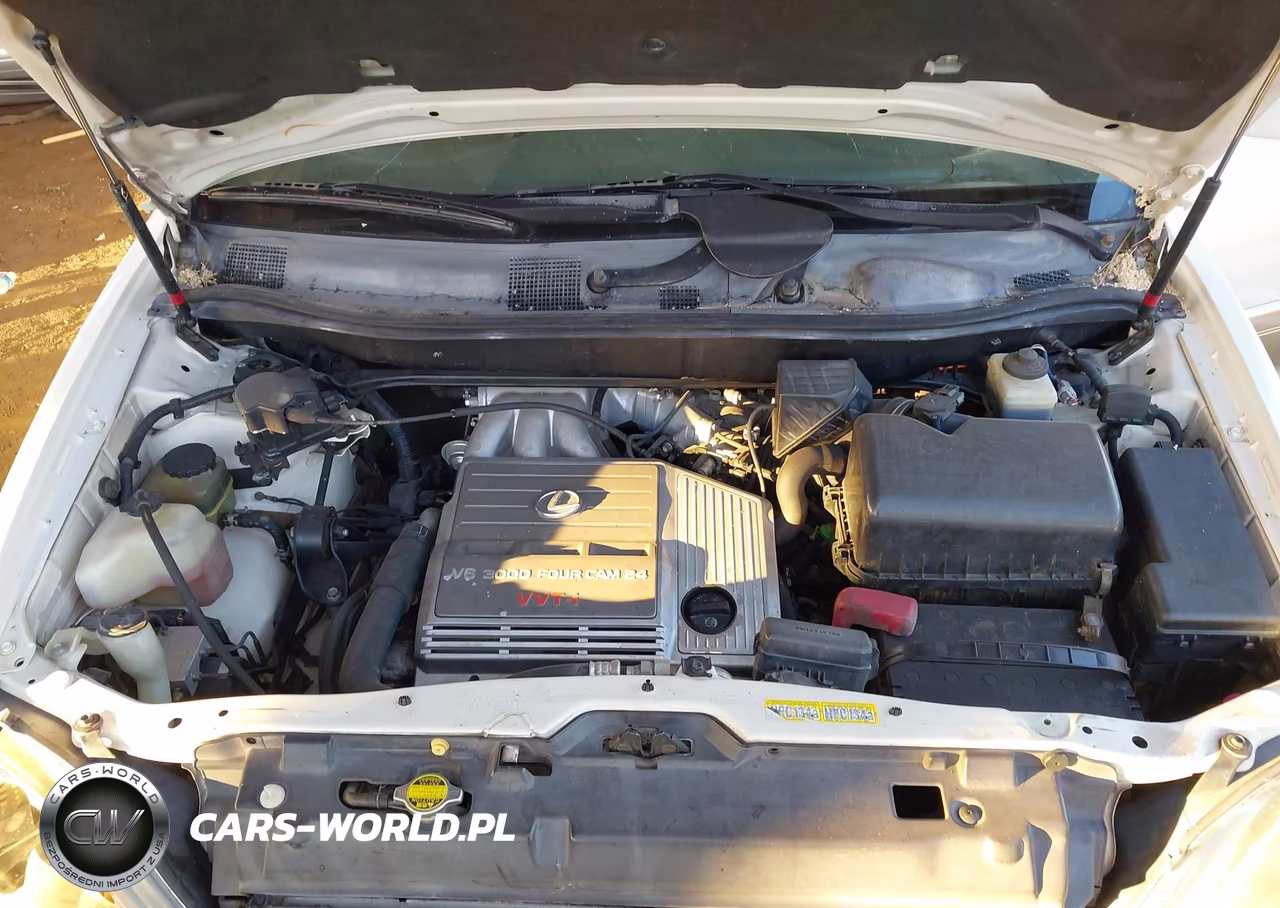 1999 Lexus Rx 300 VIN:JT6GF10U5X0044017 - 10