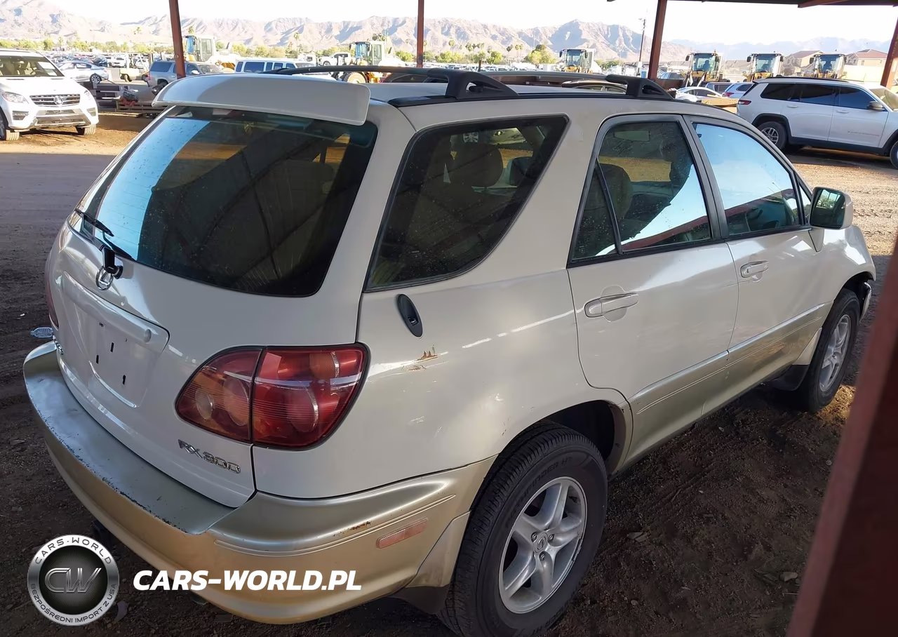 1999 Lexus Rx 300 VIN:JT6GF10U5X0044017 - 4