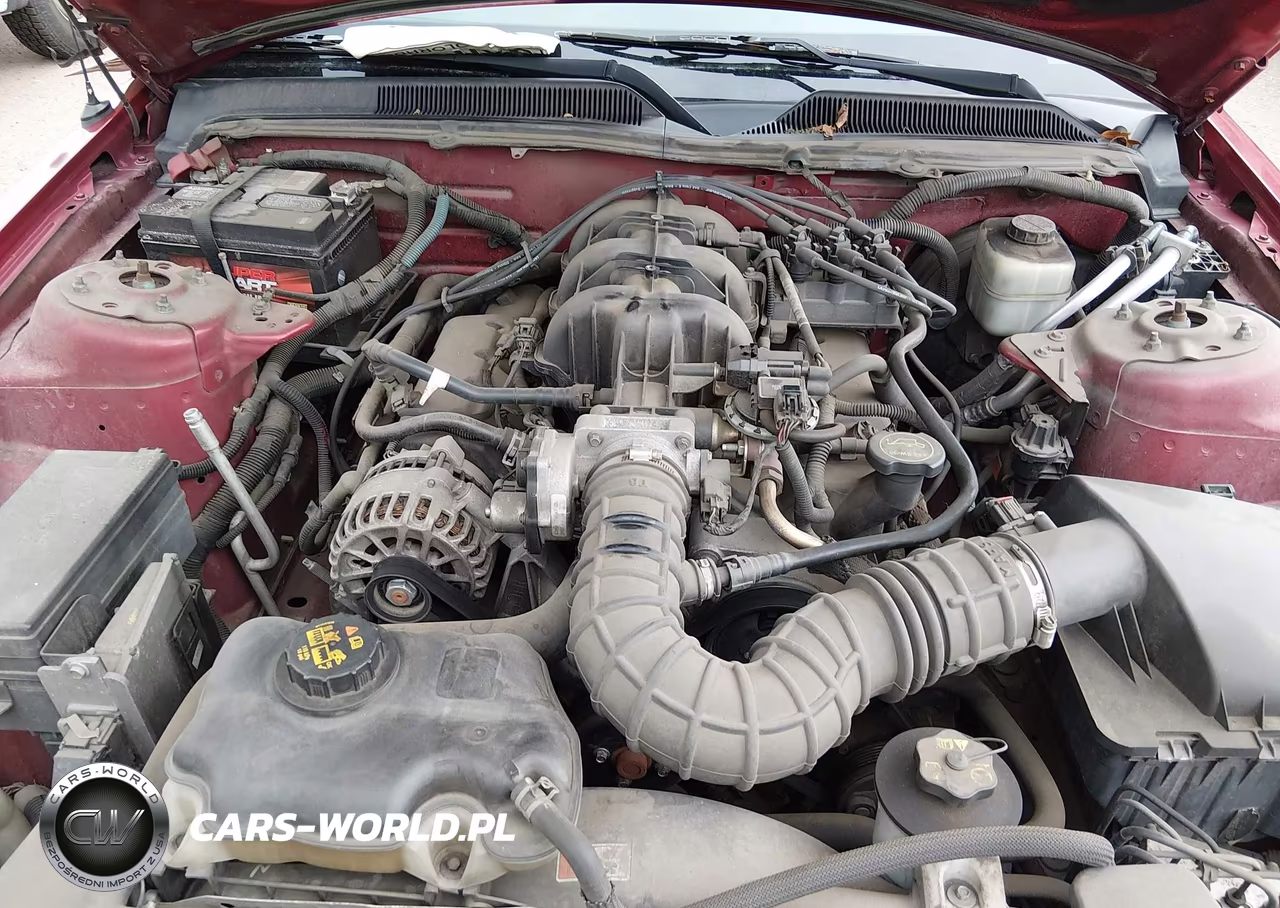 2006 Ford Mustang V6 VIN:1ZVFT80N765136341 - 10