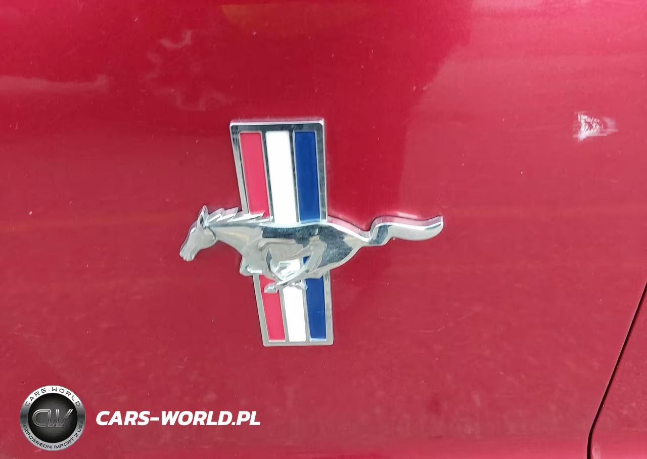 2006 Ford Mustang V6 VIN:1ZVFT80N765136341 - 13