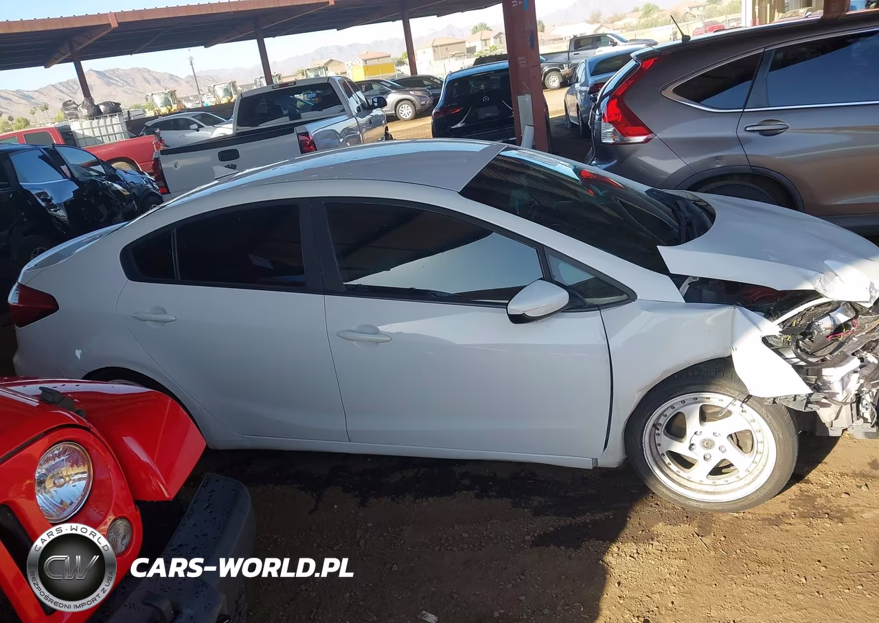 2016 Kia Forte Lx VIN:KNAFK4A64G5594343 - 13