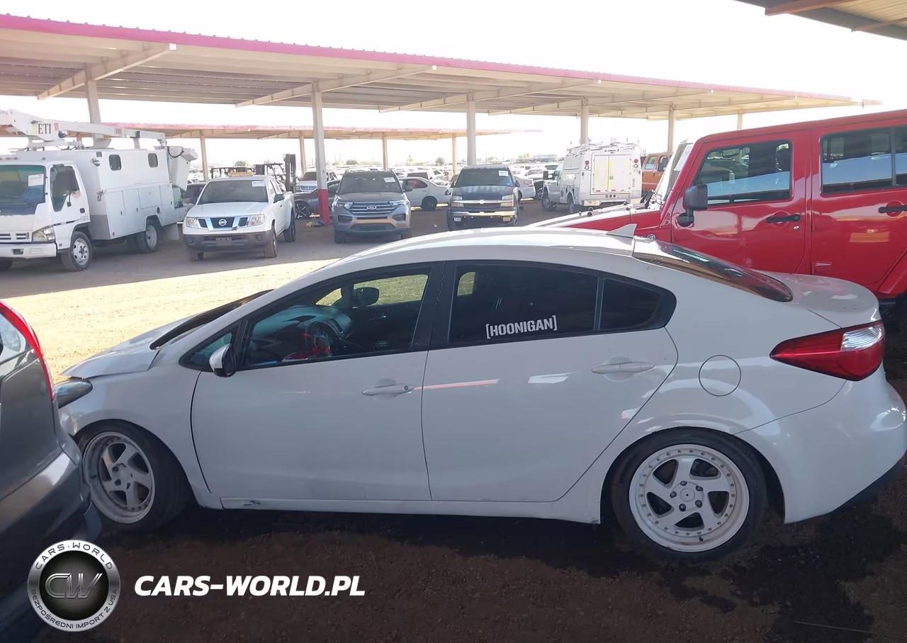 2016 Kia Forte Lx VIN:KNAFK4A64G5594343 - 14