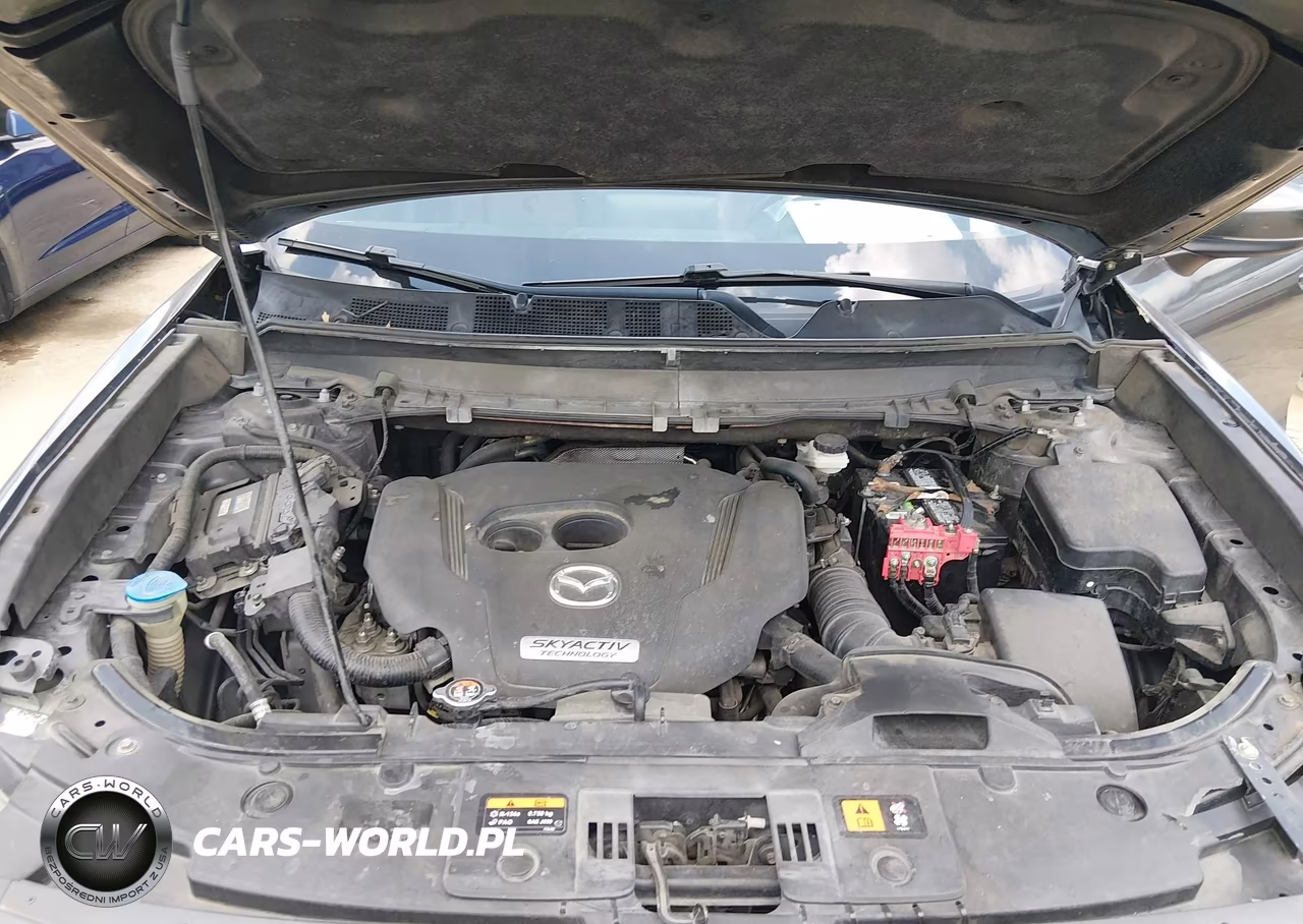 2016 Mazda Cx-9 Signature VIN:JM3TCBEY4G0101784 - 9