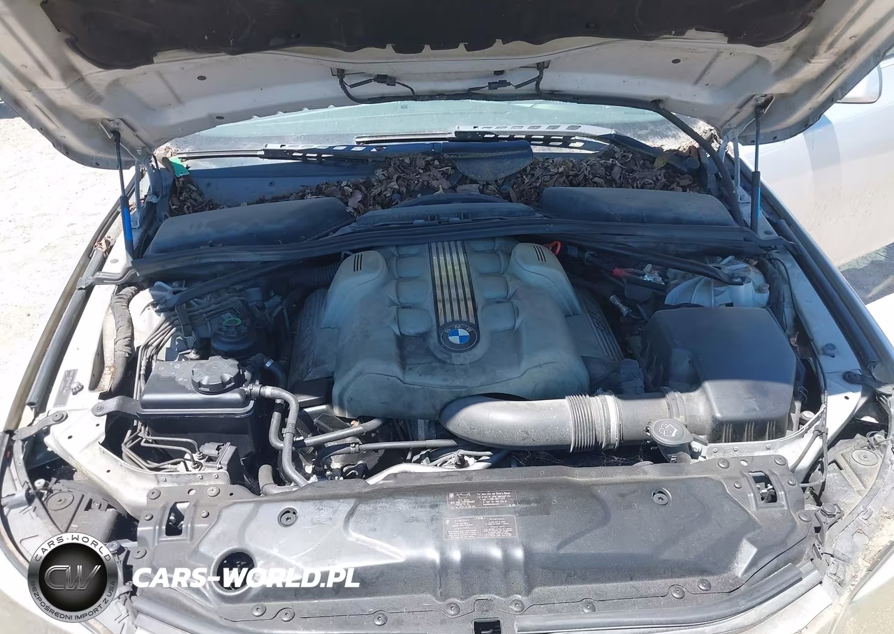 2004 BMW 545I VIN:WBANB33534B113795 - 10