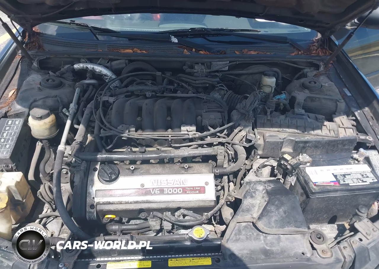 2001 Nissan Maxima Se VIN:JN1CA31D51T835611 - 10