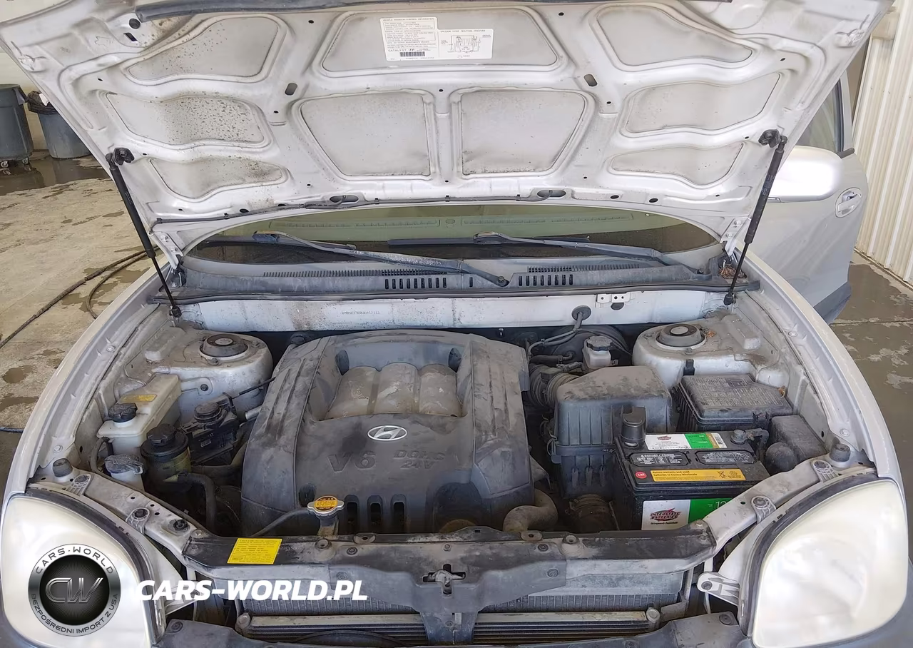 2003 Hyundai Santa Fe Gls-Lx VIN:KM8SC13D03U412111 - 10