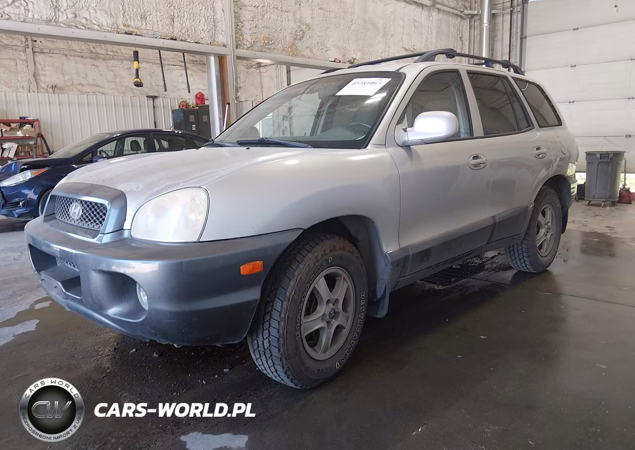 2003 Hyundai Santa Fe Gls-Lx VIN:KM8SC13D03U412111 - 2
