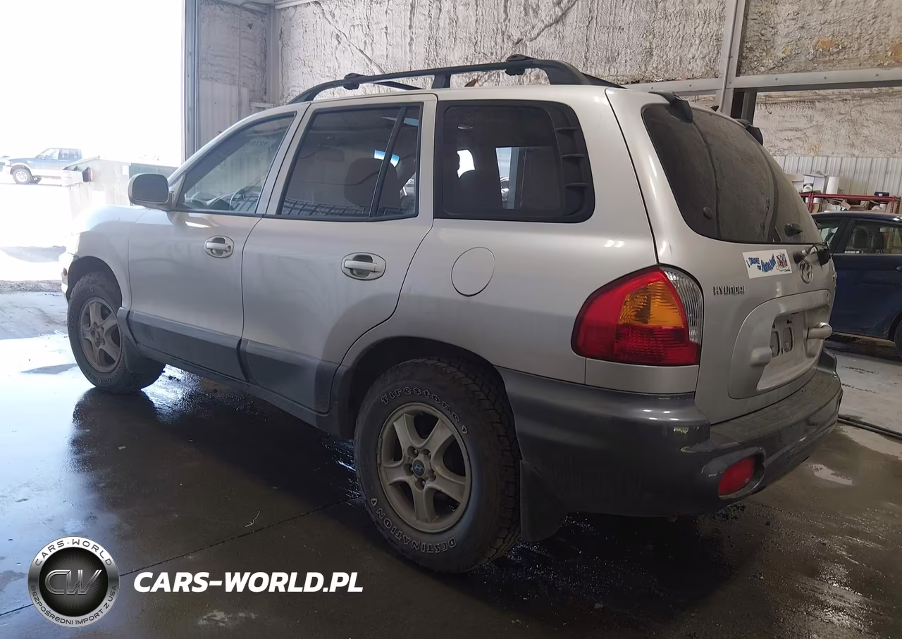 2003 Hyundai Santa Fe Gls-Lx VIN:KM8SC13D03U412111 - 3