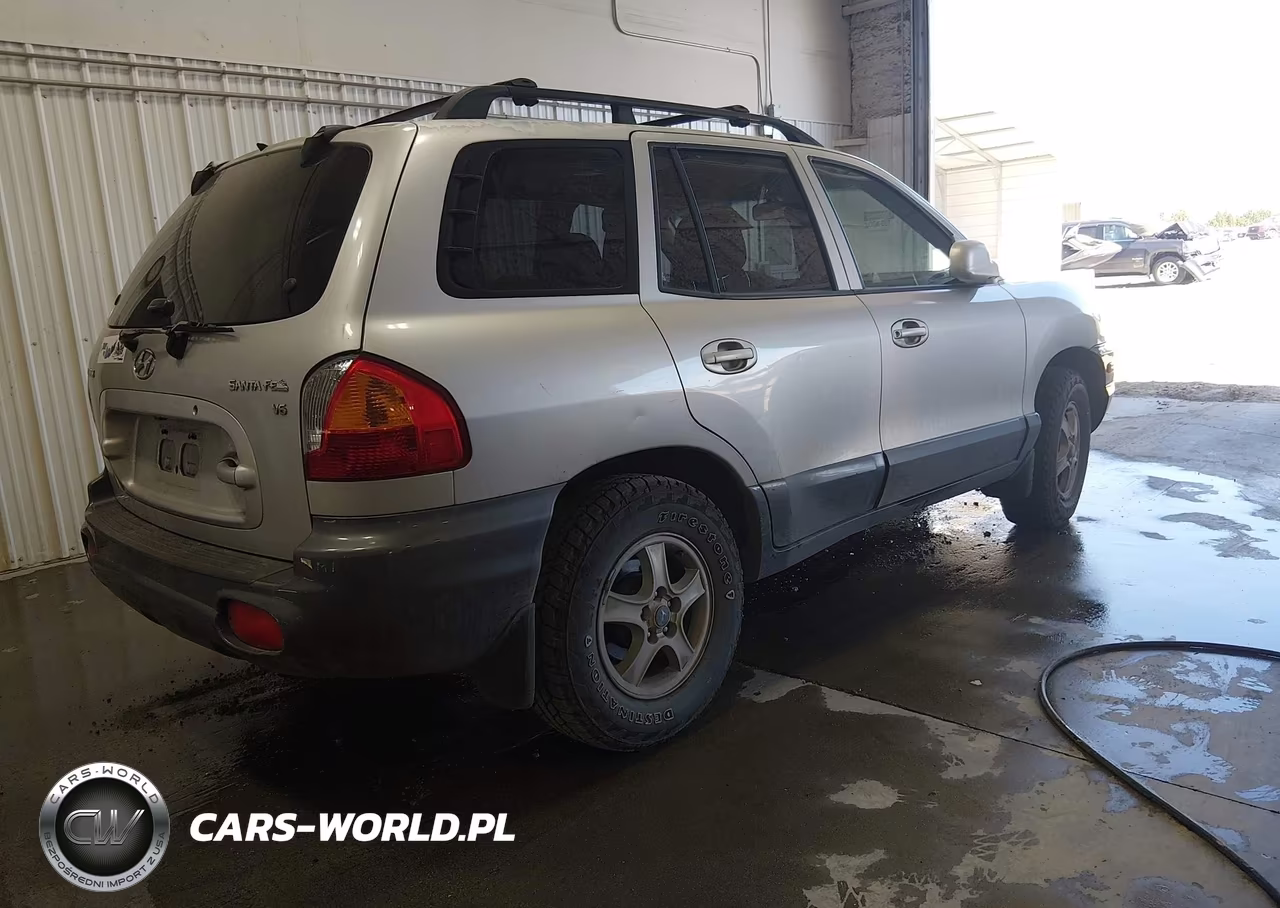 2003 Hyundai Santa Fe Gls-Lx VIN:KM8SC13D03U412111 - 4