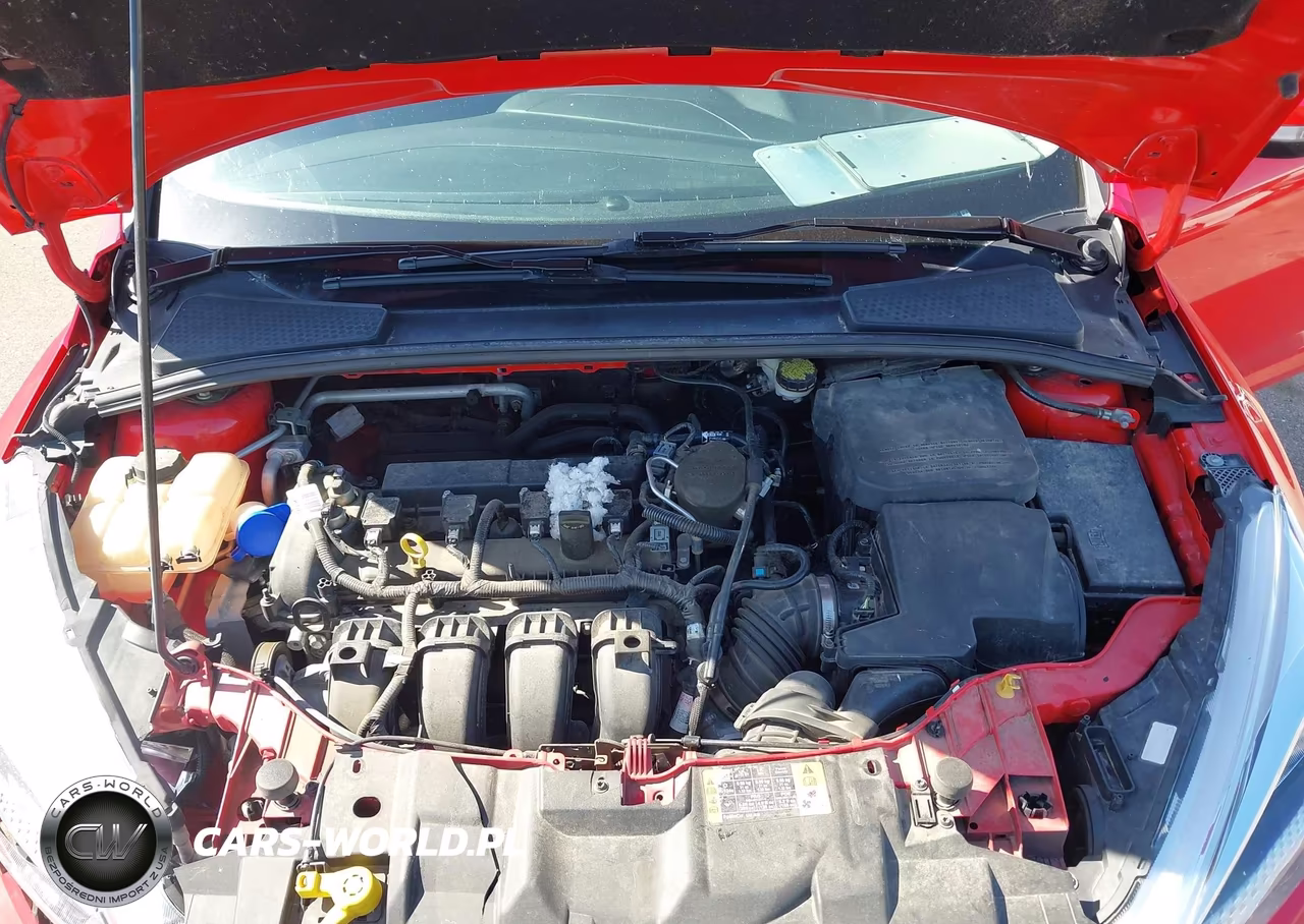 2016 Ford Focus Se VIN:1FADP3F21GL216963 - 10