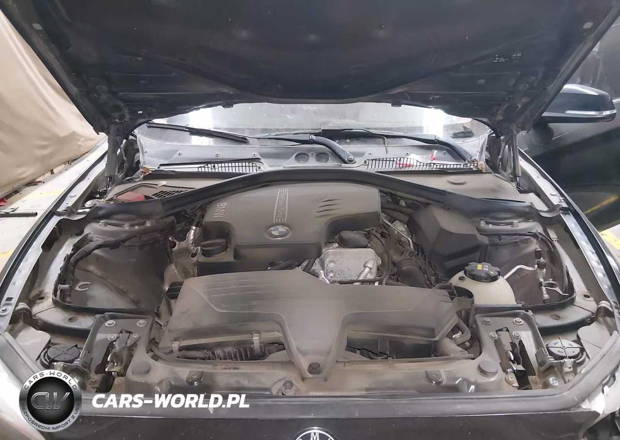 2016 BMW 228I xDrive VIN:WBA1G9C51GV726665 - 10