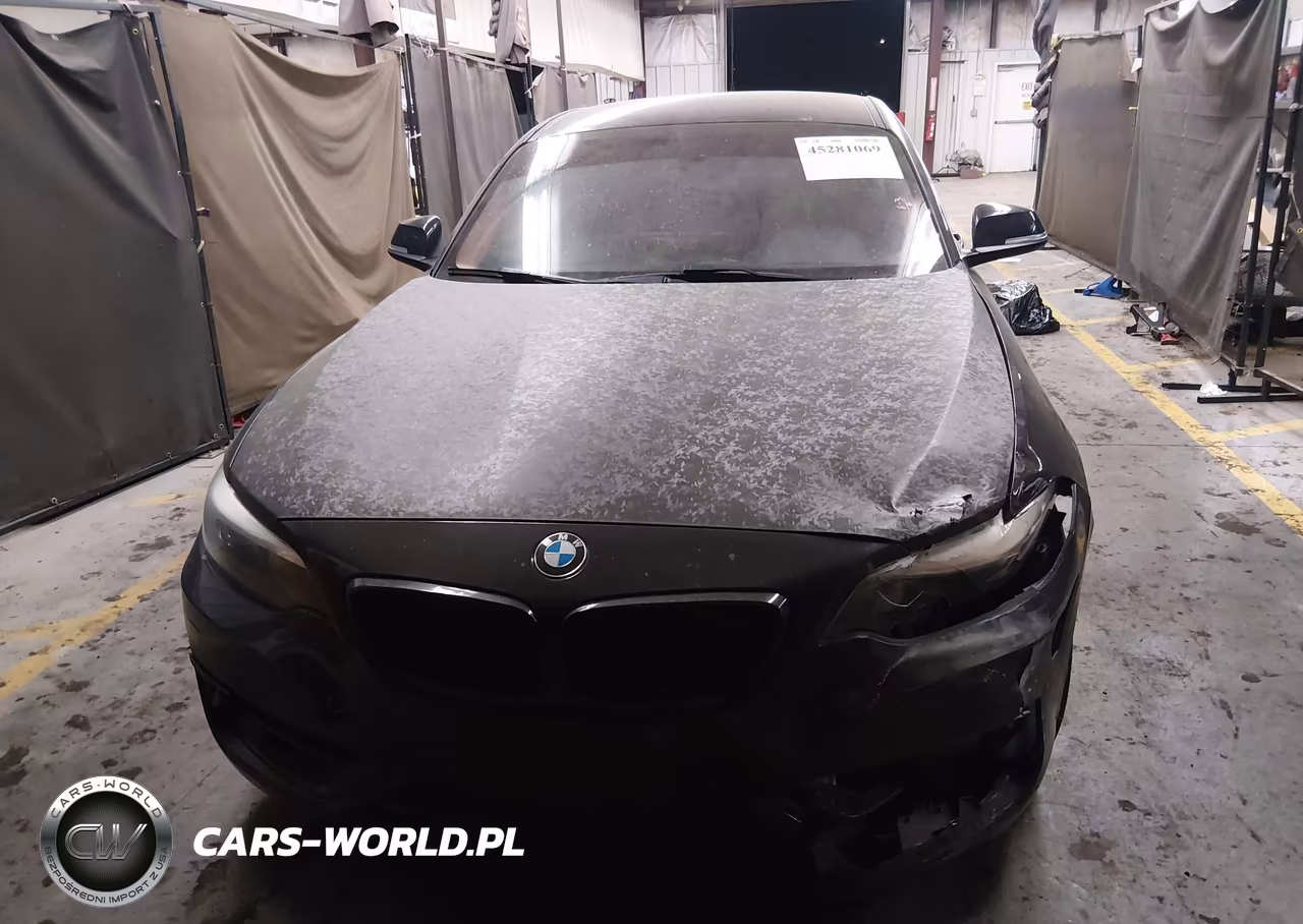 2016 BMW 228I xDrive VIN:WBA1G9C51GV726665 - 12
