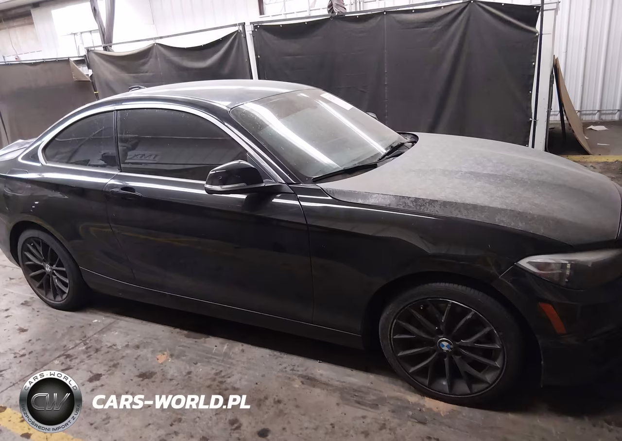 2016 BMW 228I xDrive VIN:WBA1G9C51GV726665 - 13