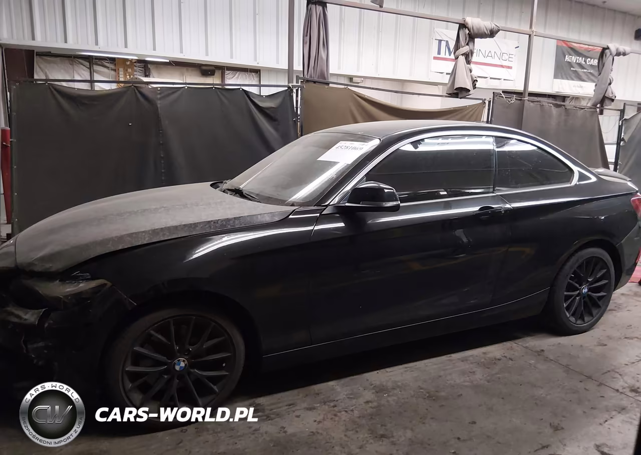 2016 BMW 228I xDrive VIN:WBA1G9C51GV726665 - 14