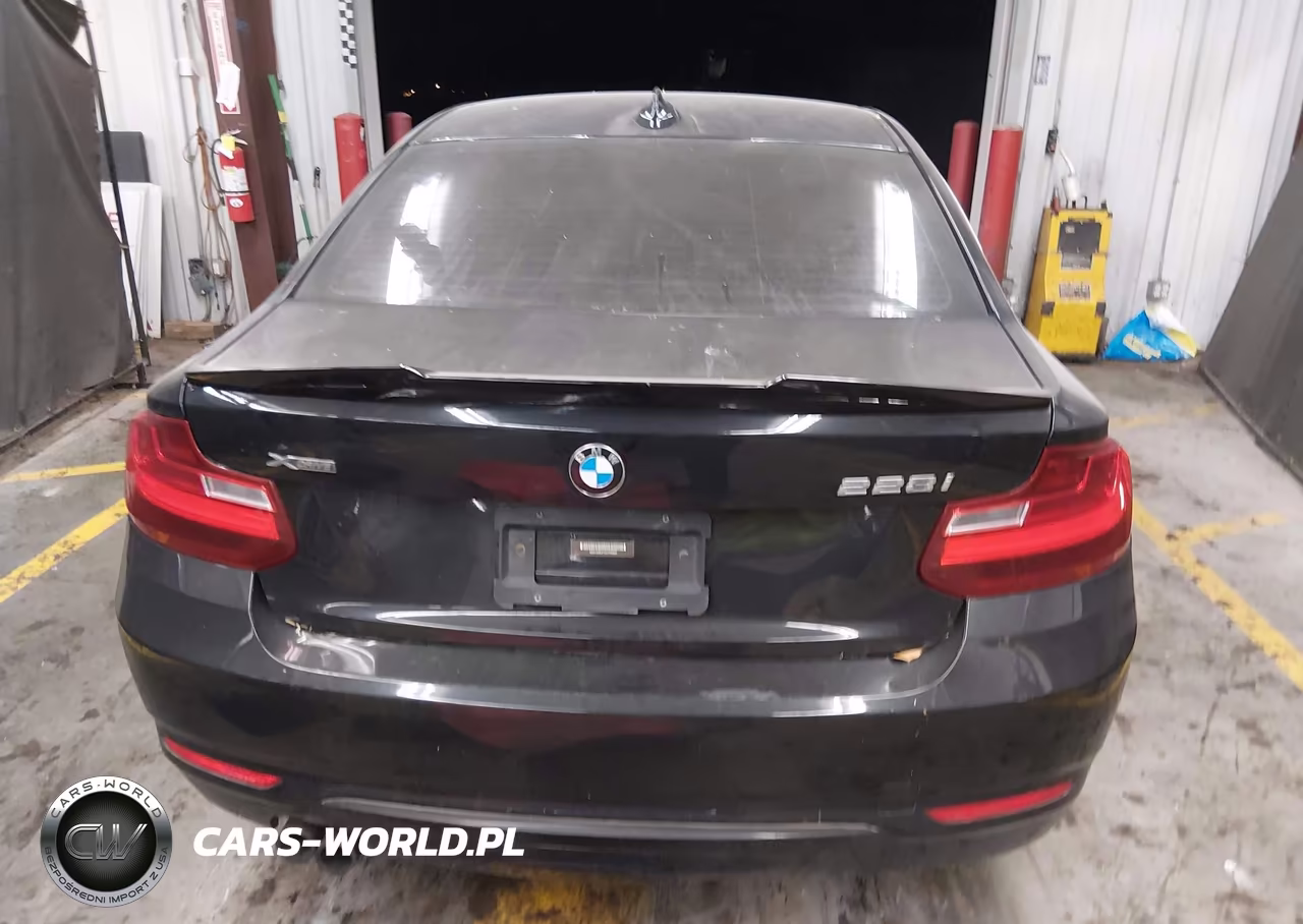 2016 BMW 228I xDrive VIN:WBA1G9C51GV726665 - 16