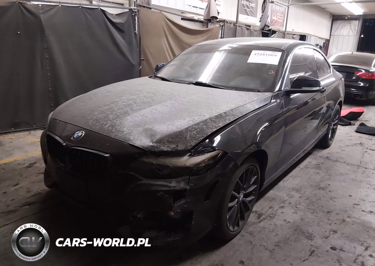 2016 BMW 228I xDrive VIN:WBA1G9C51GV726665 - 2