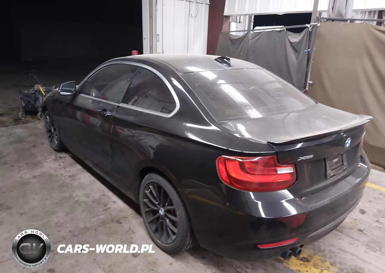 2016 BMW 228I xDrive VIN:WBA1G9C51GV726665 - 3
