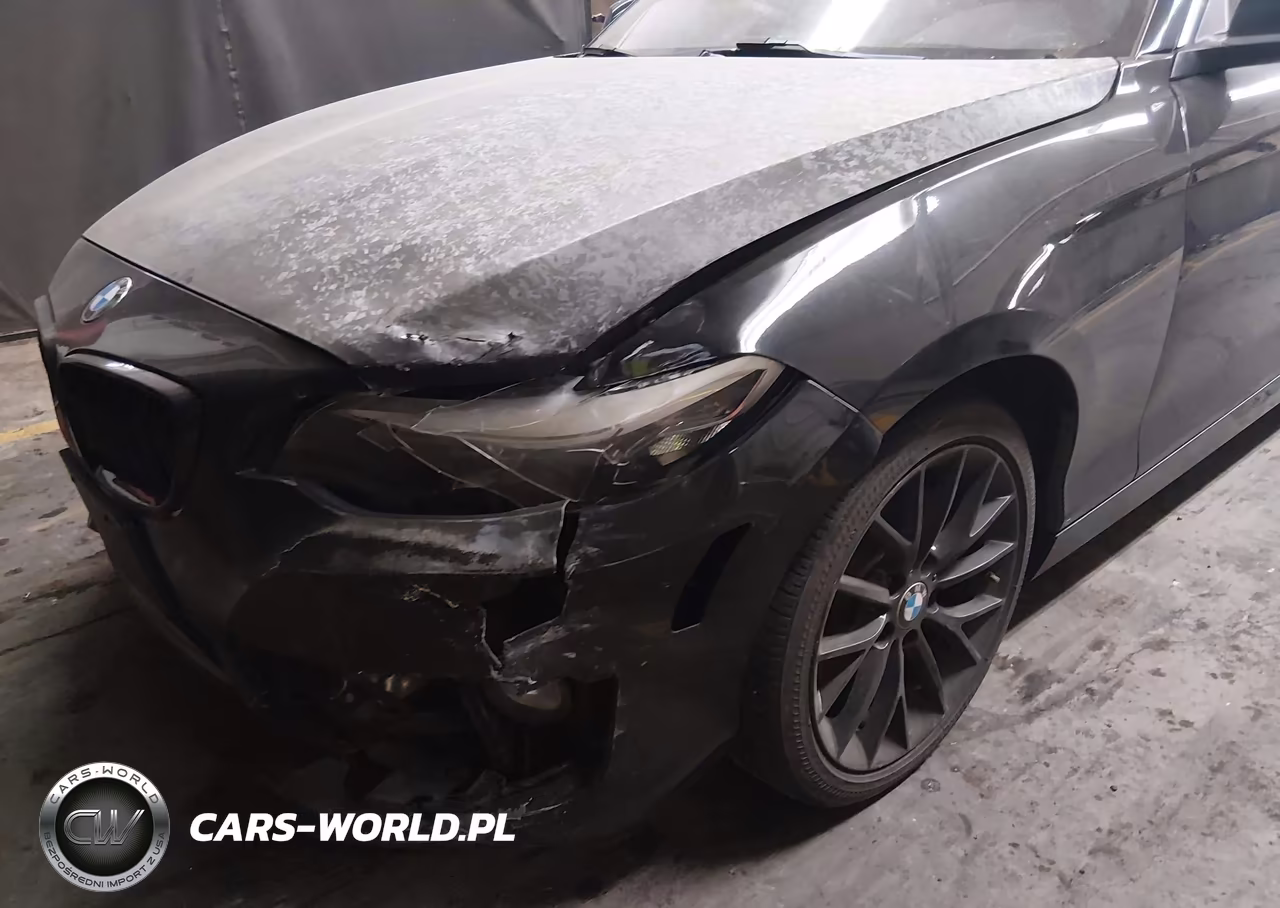 2016 BMW 228I xDrive VIN:WBA1G9C51GV726665 - 6