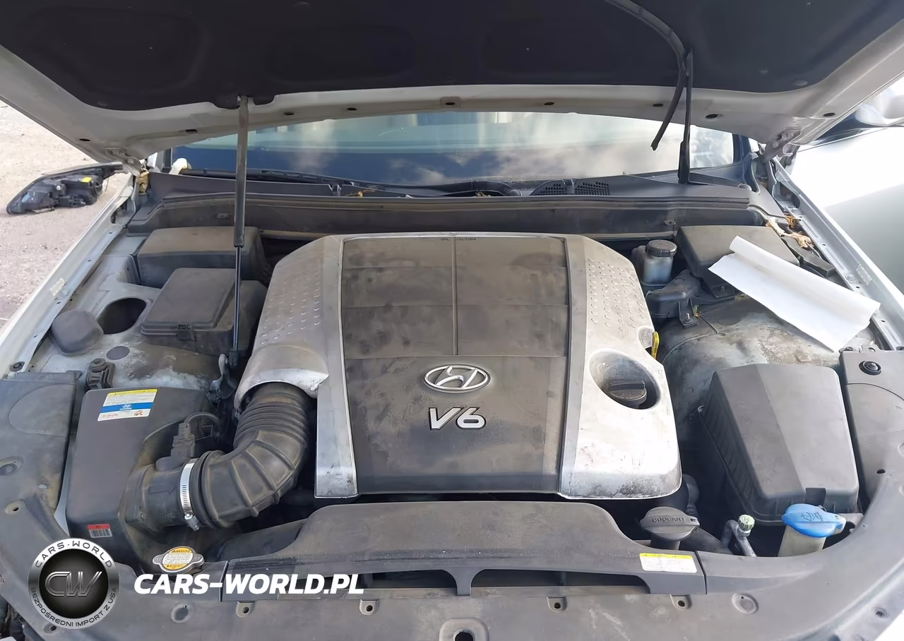 2011 Hyundai Genesis 3.8 VIN:KMHGC4DE0BU122495 - 10