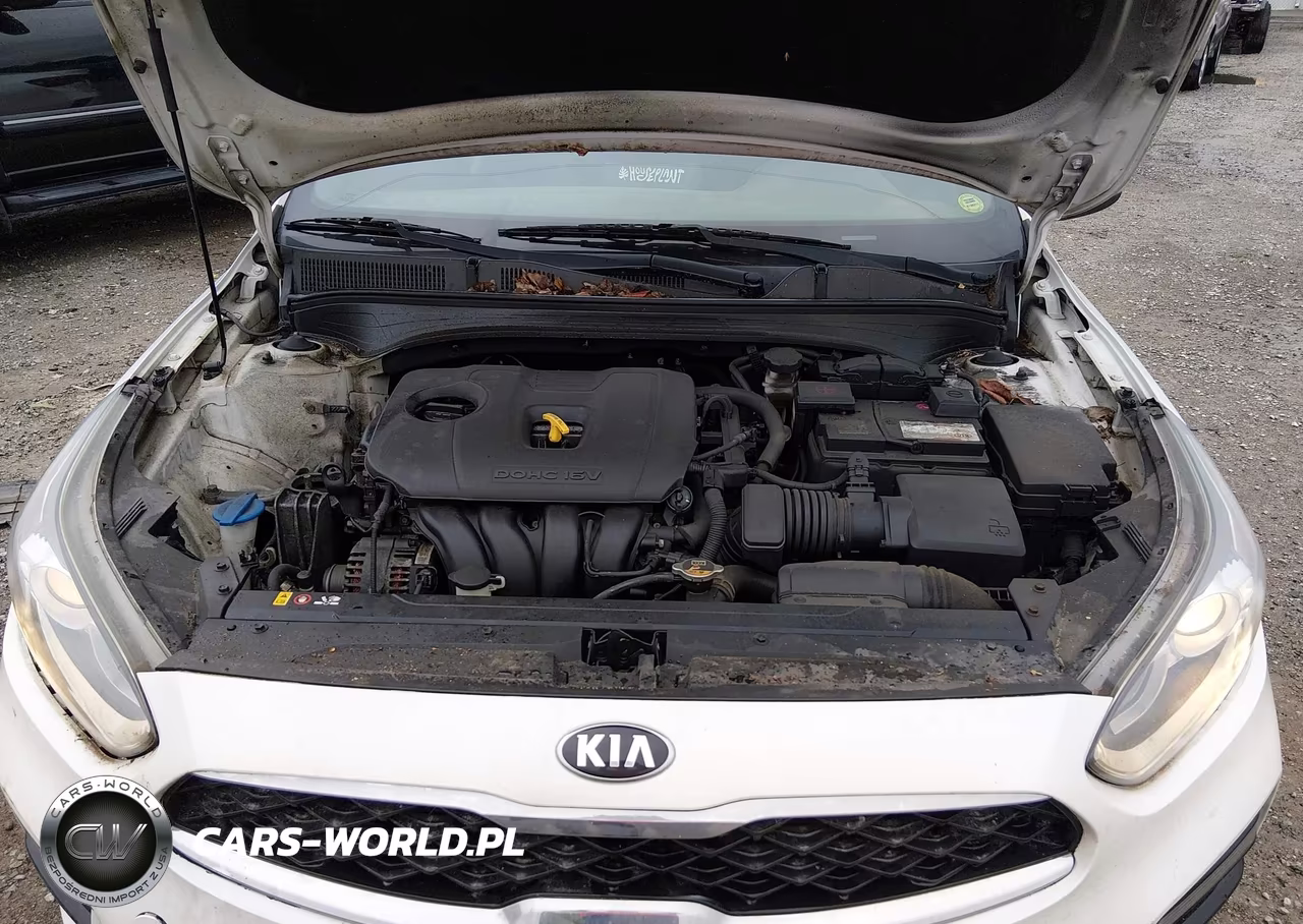 2019 Kia Forte Ex VIN:3KPF54AD6KE055471 - 10