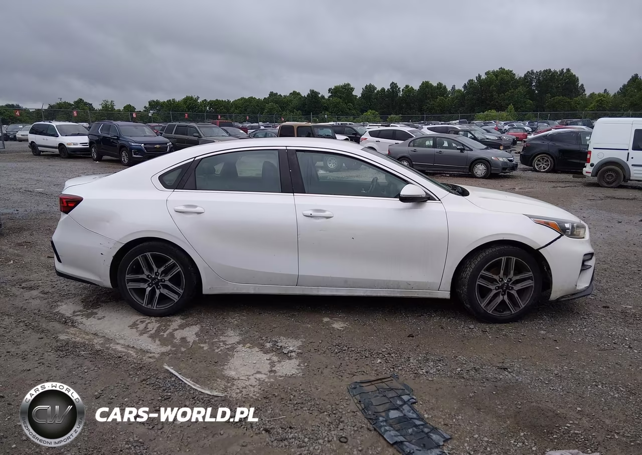 2019 Kia Forte Ex VIN:3KPF54AD6KE055471 - 13