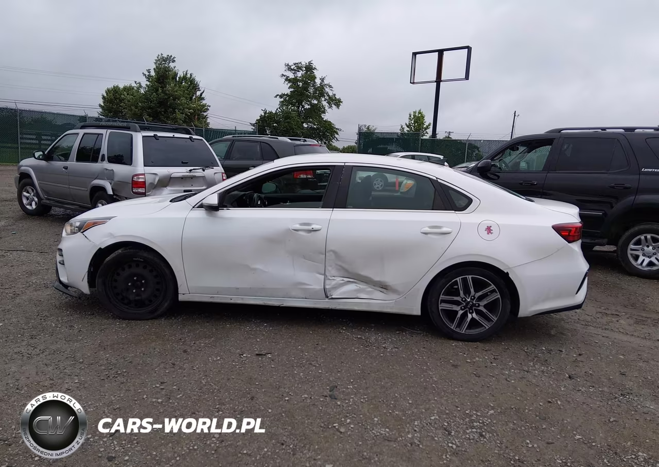 2019 Kia Forte Ex VIN:3KPF54AD6KE055471 - 14