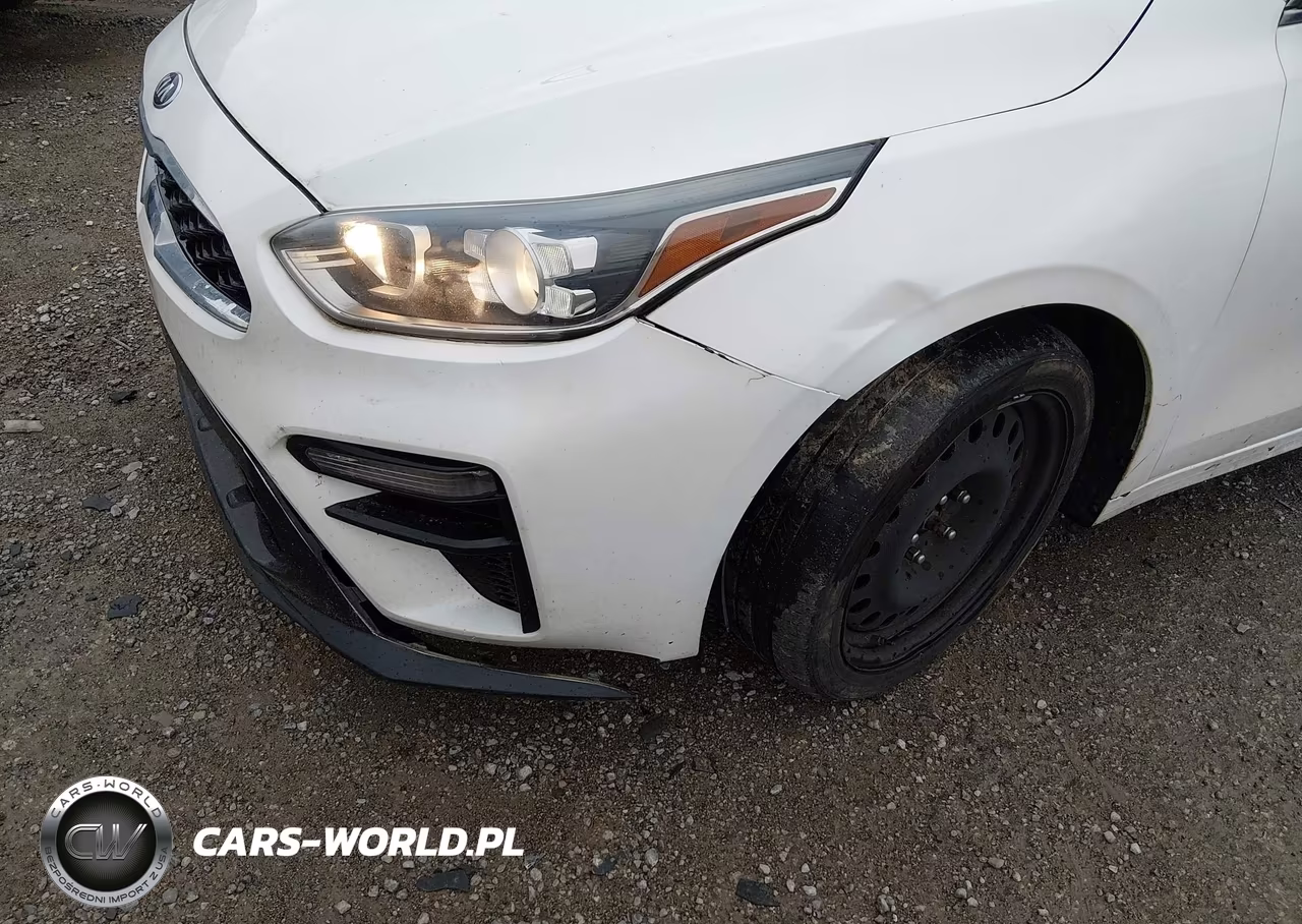 2019 Kia Forte Ex VIN:3KPF54AD6KE055471 - 17