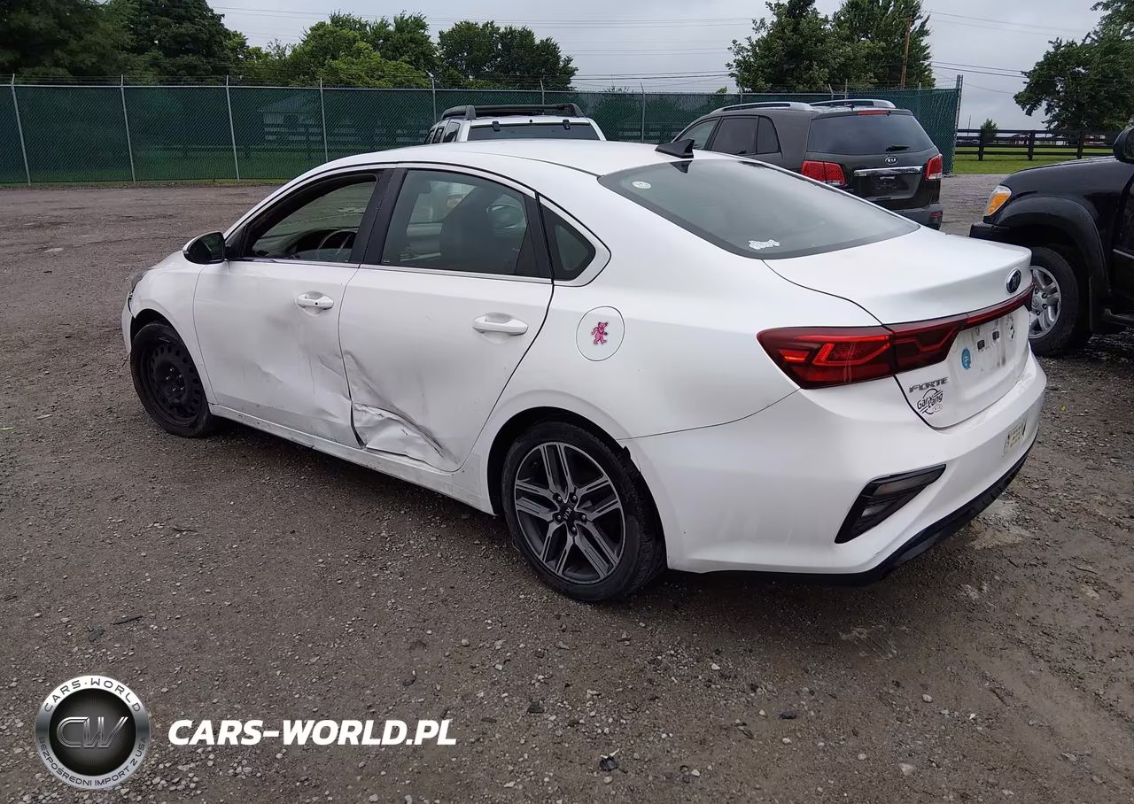 2019 Kia Forte Ex VIN:3KPF54AD6KE055471 - 3