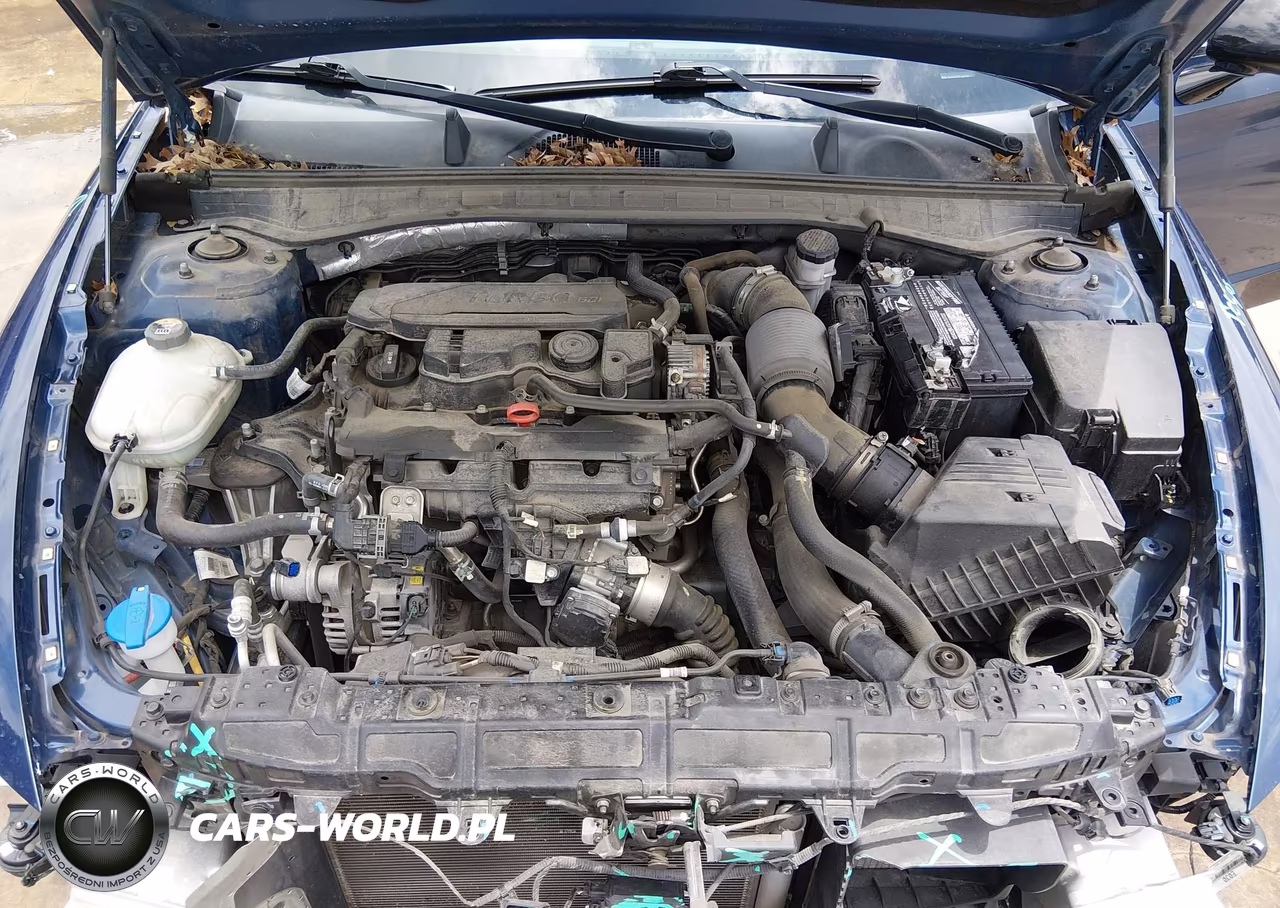 2020 Hyundai Sonata Sel Plus VIN:5NPEJ4J23LH042731 - 10
