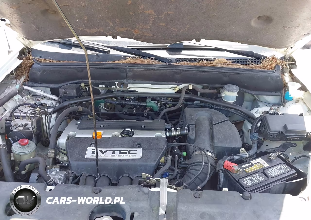 2002 Honda Cr-V Ex VIN:JHLRD78812C095252 - 10