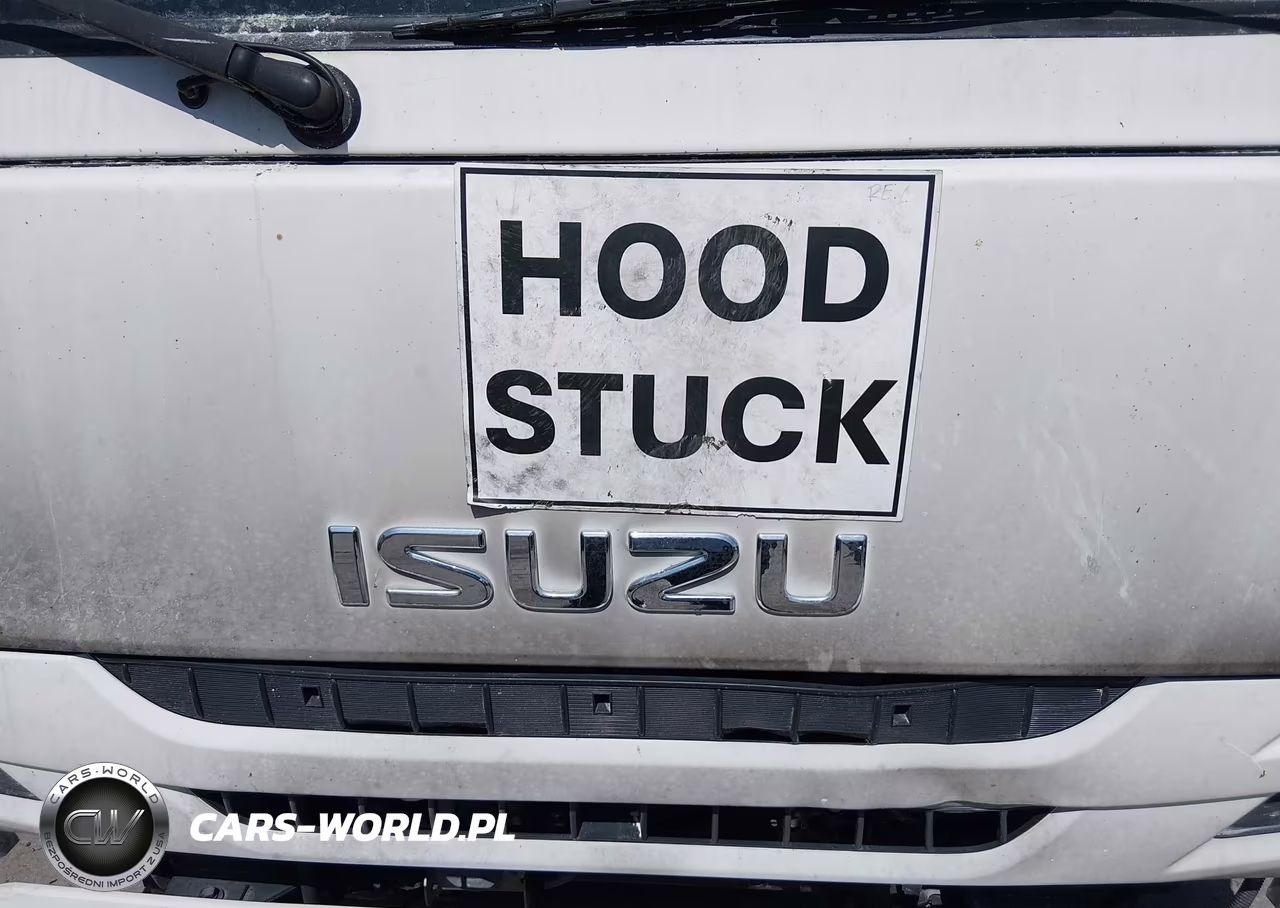 2020 Isuzu Nqr VIN:JALE5W162L7901376 - 10