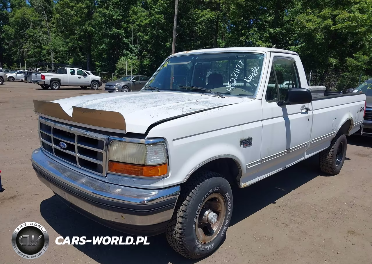 1993 Ford F150 VIN:1FTEF14YXPNA74324 - 2