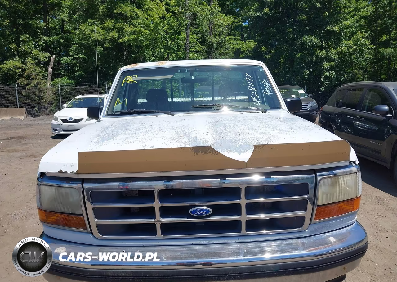 1993 Ford F150 VIN:1FTEF14YXPNA74324 - 6