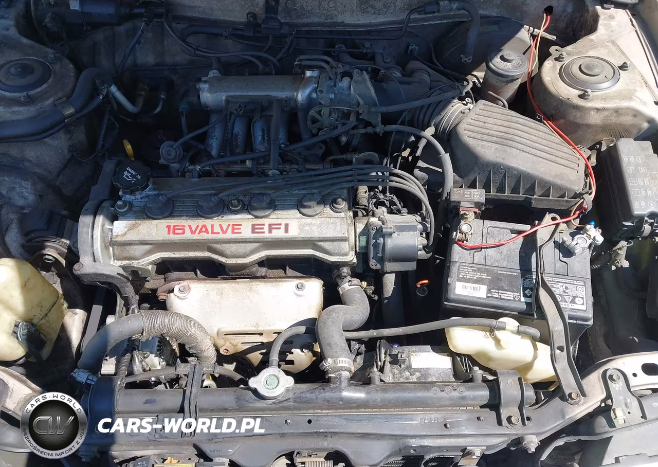1991 Toyota Corolla Dlx VIN:1NXAE94A6MZ240595 - 10