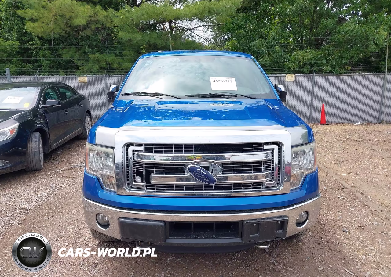 2014 Ford F-150 Xlt VIN:1FTFW1ETXEFD10887 - 12
