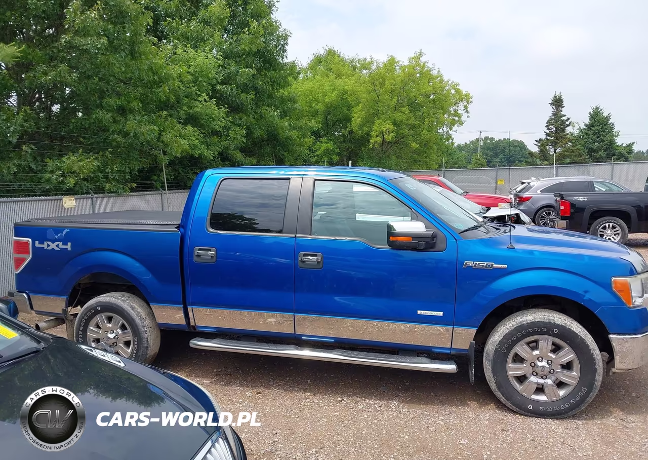 2014 Ford F-150 Xlt VIN:1FTFW1ETXEFD10887 - 13