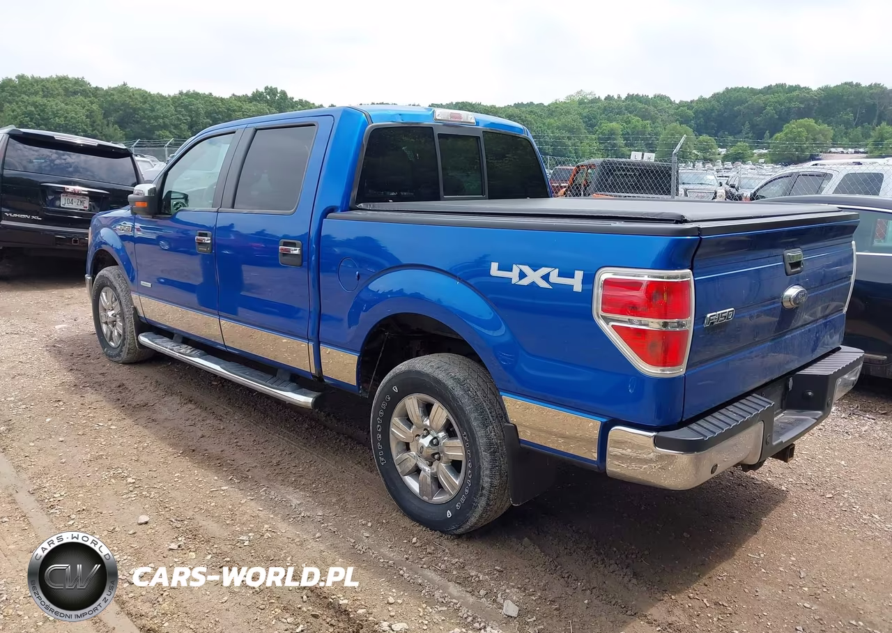 2014 Ford F-150 Xlt VIN:1FTFW1ETXEFD10887 - 3