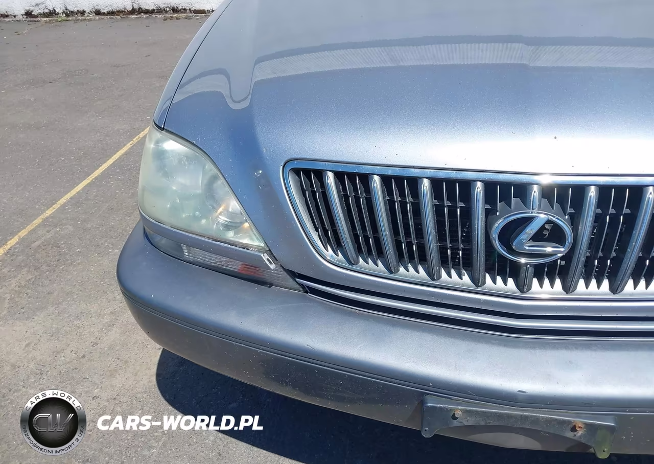 2001 Lexus Rx 300 VIN:JTJHF10UX10231724 - 17